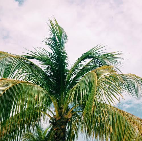 Screen Shot 2016-07-27 at 1.31.17 PM