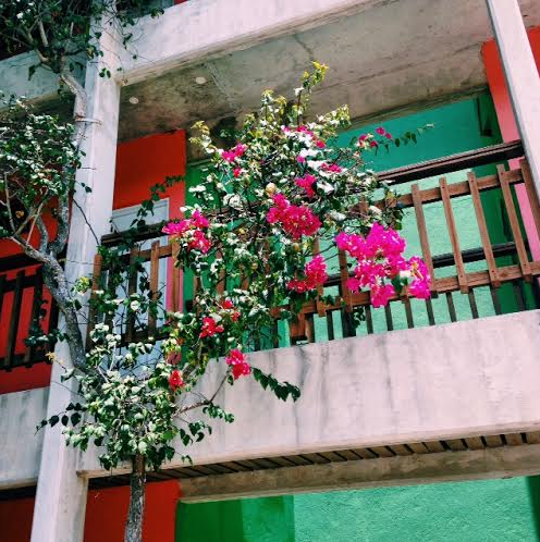 Screen Shot 2016-07-27 at 2.11.11 PM