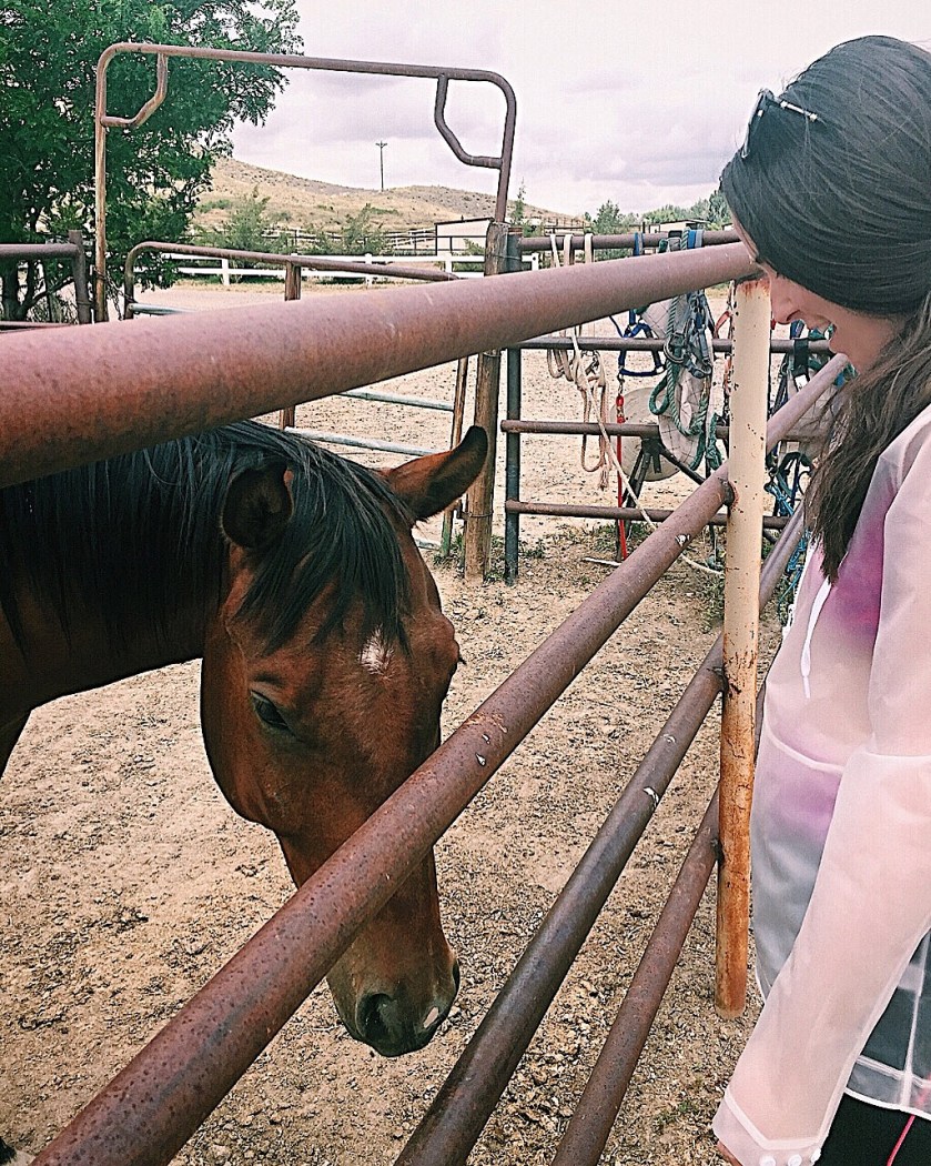 98242B8E-D99F-4E49-8FD5-0E9C78ADEE9F